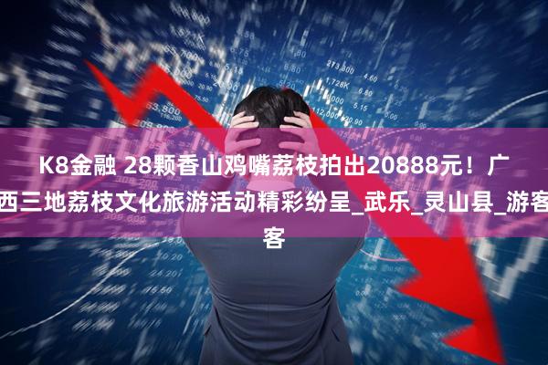 K8金融 28颗香山鸡嘴荔枝拍出20888元！广西三地荔枝文化旅游活动精彩纷呈_武乐_灵山县_游客