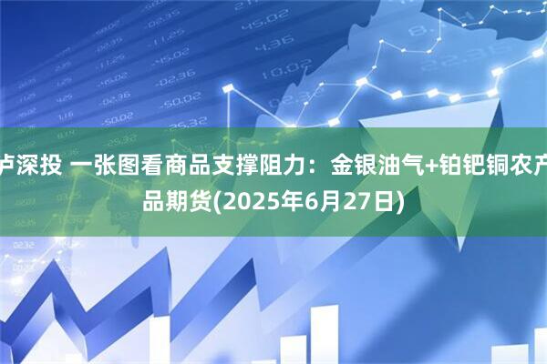 泸深投 一张图看商品支撑阻力：金银油气+铂钯铜农产品期货(2025年6月27日)