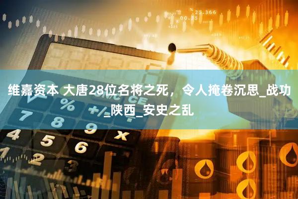 维嘉资本 大唐28位名将之死，令人掩卷沉思_战功_陕西_安史之乱