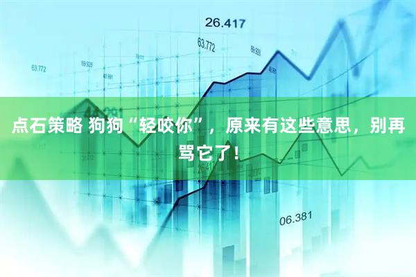 点石策略 狗狗“轻咬你”，原来有这些意思，别再骂它了！