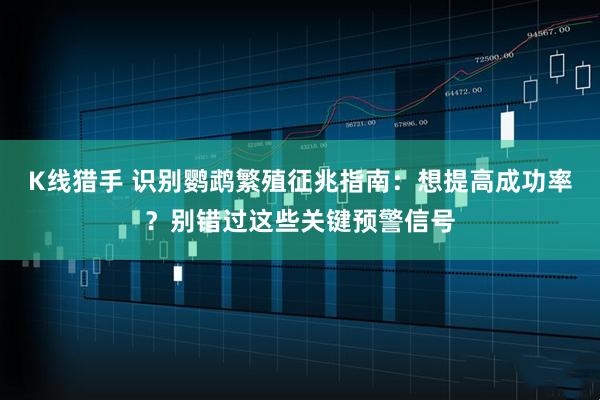 K线猎手 识别鹦鹉繁殖征兆指南：想提高成功率？别错过这些关键预警信号